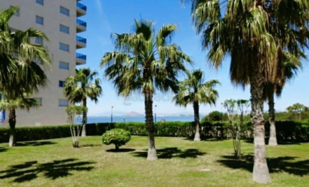 Apartamento La Manga Leilighet Eksteriør bilde